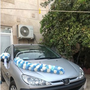 پنل گلارایی ماشین عروس