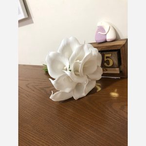 دسته گل شیپوری 5 شاخه