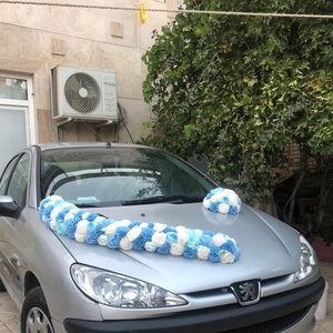 پنل گلارایی ماشین عروس