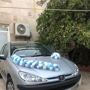 پنل گلارایی ماشین عروس