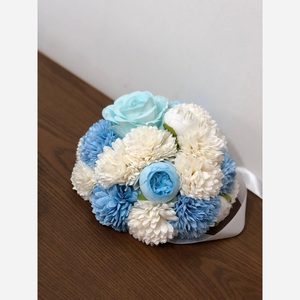 پنل گلارایی ماشین عروس