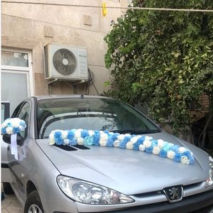 پنل گلارایی ماشین عروس